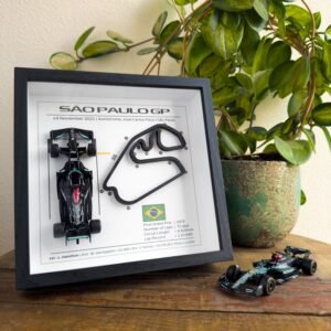 F1 Frame São Paulo GP 2021 - 3D Circuit with Mercedes W12 - Lewis Hamilton